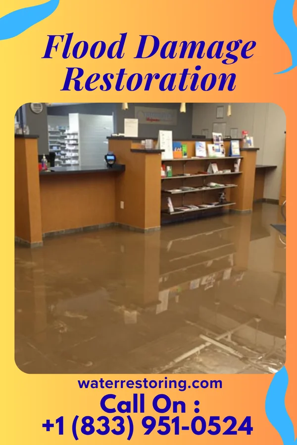 Flood Damage Restoration in Mole Lake, WI