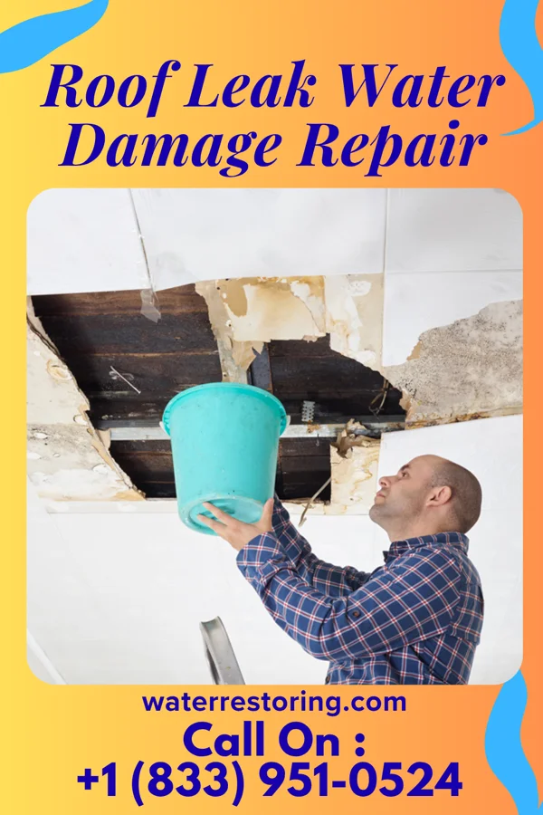 Roof Leak Water Damage Repair in Mole Lake, WI