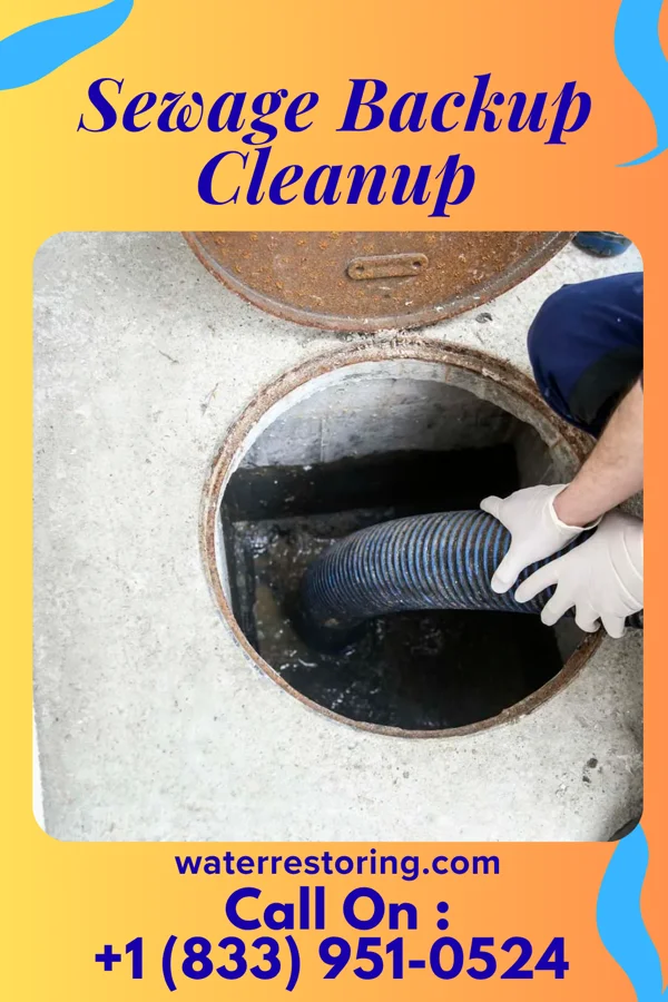 Sewage Backup Cleanup in Mole Lake, WI