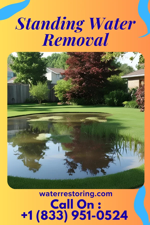 Standing Water Removal in Mole Lake, WI
